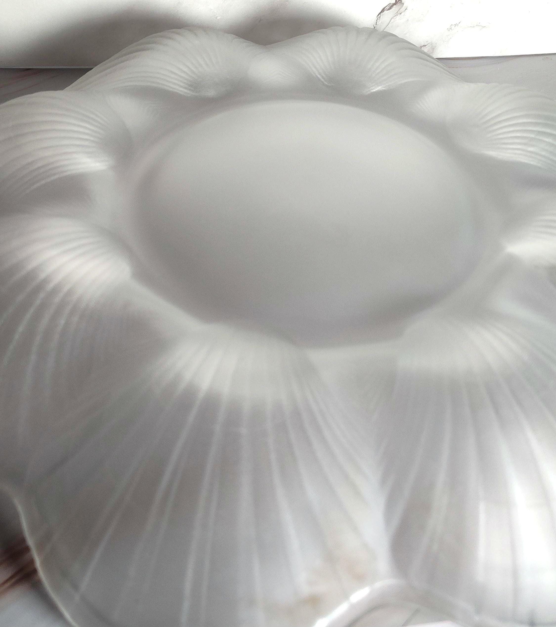 Mikasa Frosted Glass Seashell Scallop Serving Platter 12 Inch Coastal Beach Shell Plate Entertaining - Image 2