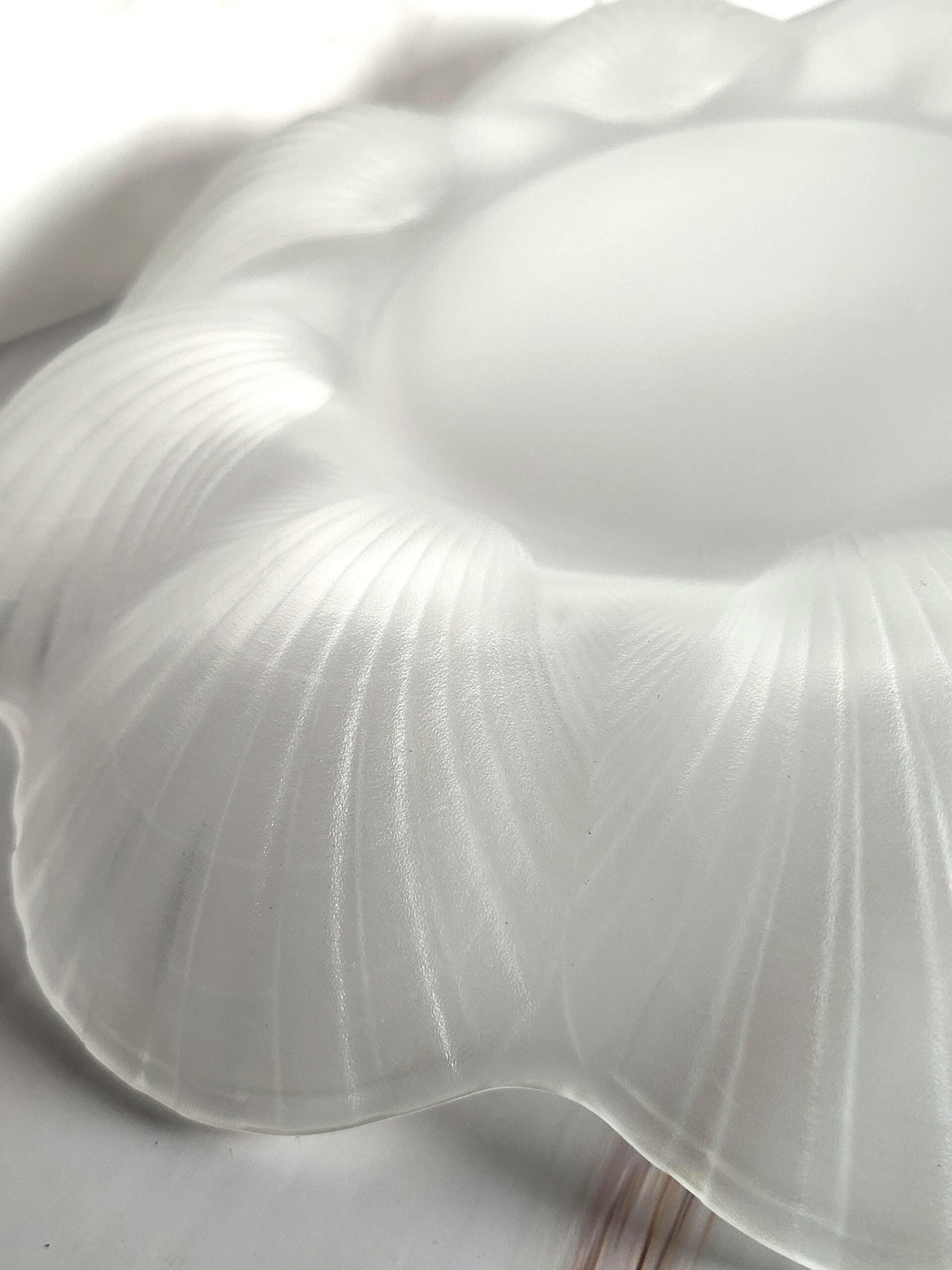 Mikasa Frosted Glass Seashell Scallop Serving Platter 12 Inch Coastal Beach Shell Plate Entertaining - Image 3